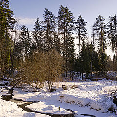 photo "Breath of Spring"