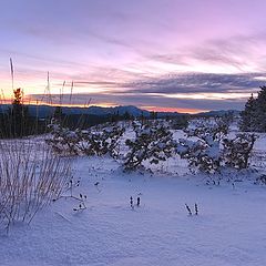 photo "Winter sunset-Rodopi mountaion(Bulgaria)"