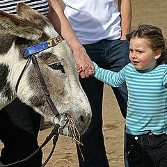 фото "Знакомство."