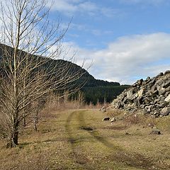 фото "оставить след ....."