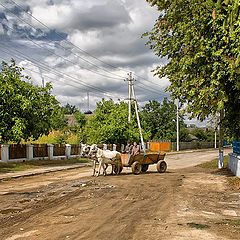 фото "Сельская дорога"