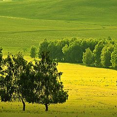 фото "зелёная долина"