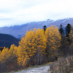 photo "Arkhyz Autumn - Sorceress color"