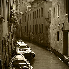 фото "Venice"