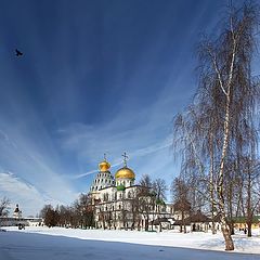 фото "ранняя весна"