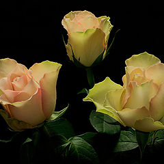 фото ""Как хороши, как свежи были розы..." И.П.Мятлев"