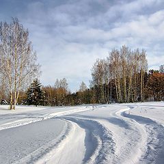 photo "***"