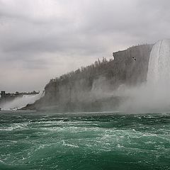 photo "***"