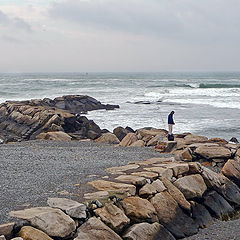 photo "A fearless fisherman"