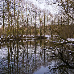 photo "Evening Silence"