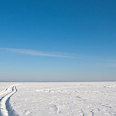 фото "следы"