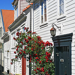 photo "On the Old Town streets"