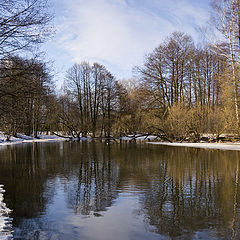 photo "Spring on Svisloch River"