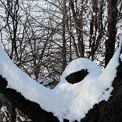 photo "Winter has surrendered! / Зима сдалась!"