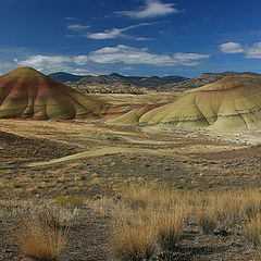 photo "50 million years BC"