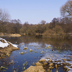 photo "Spring on Svisloch River 2"