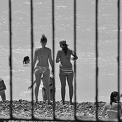 фото "FencedBathingBeauties"