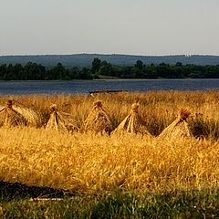 фото "прекрасная пора"