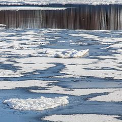 photo "drifting of ice"