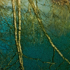 фото "River Reflections"