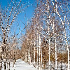 фото "в предверии весны"