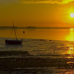 фото "RIVER TAGUS ESTUARY"