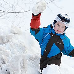 photo "Snow fight"