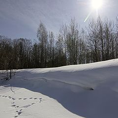 фото "Мартовская волна"