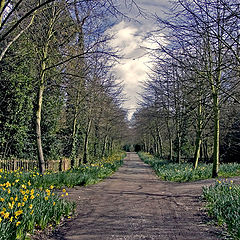 фото "First light of Spring"