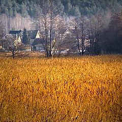 photo "Another side of lake"