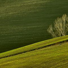 фото "Winter in Tuscany"