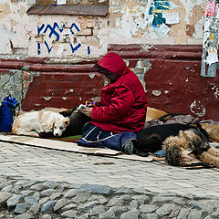 photo "жить вопреки .."