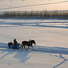 photo "Snow area"