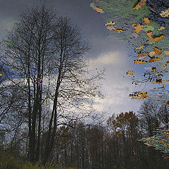 photo "Looks in the mirror late fall ..."