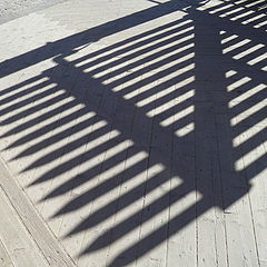 photo "Shadow."