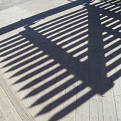 фото "Shadow."