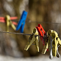 photo "Waiting for the spring"