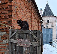 фото ""Просьба дверью не хлопать!""