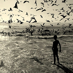 фото ""The boy and the birds... in B&W""