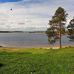 photo "Borodavskoye's lake"