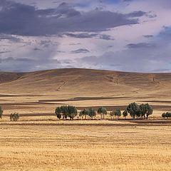 photo "Autumn panorama"