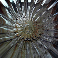 photo "glass sunstar"