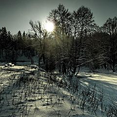 фото "Коротким зимним днём"