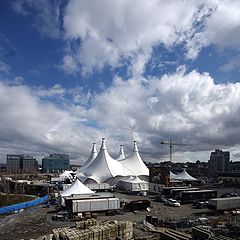 photo "Cavalia"