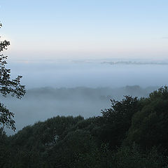photo "Blue fog"