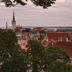 photo "City of tile roofs"