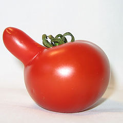 photo "Anomalous tomato"