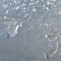 photo "Recent ice patterns"
