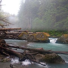 photo "Fog over rapids"