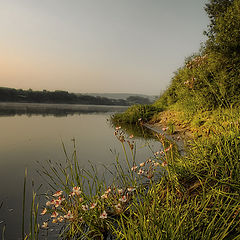 фото "Река моего детства"